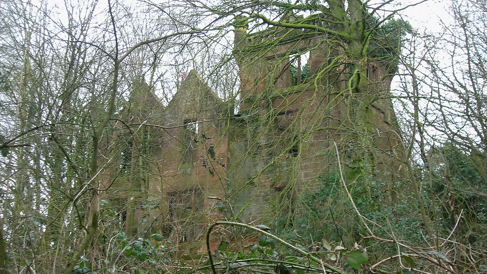 Ruines d’une ancienne demeure envahie par la végétation, éclairées par une lumière douce.